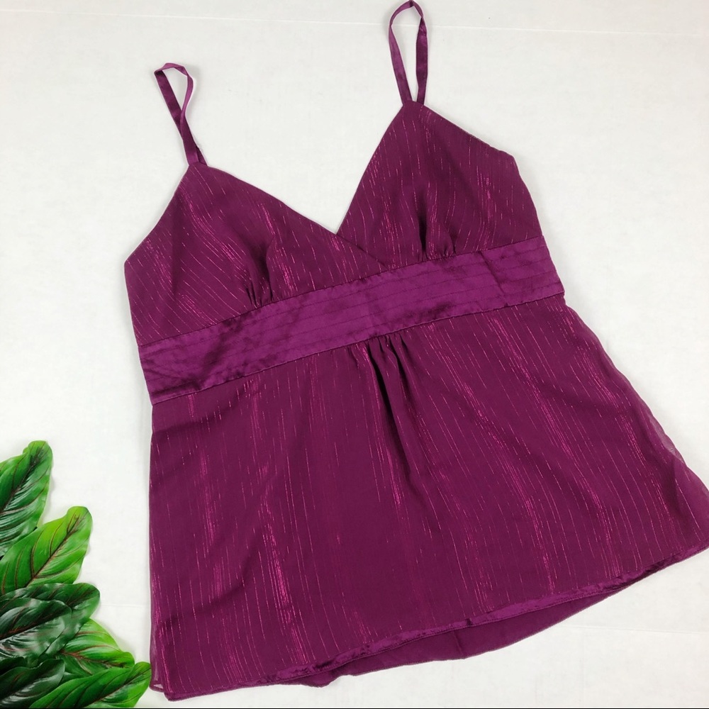 Maxime Silk Lined Purple Blouse